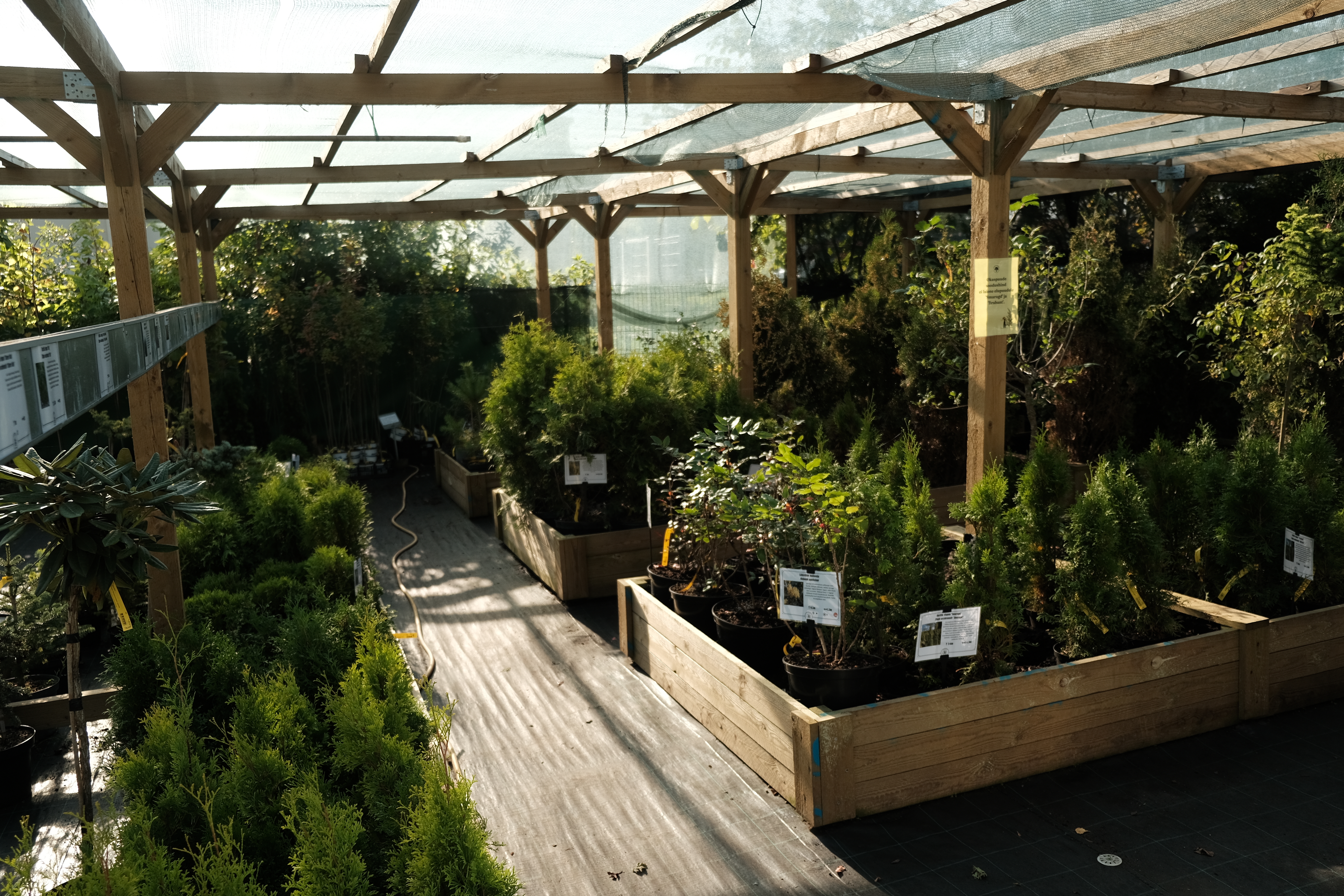 Pilt 1